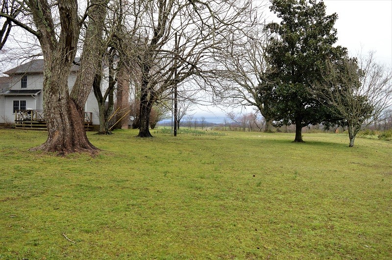 505 W Road Morrison, TN 37357 - Photo 33 of 44 a view of yard with trees