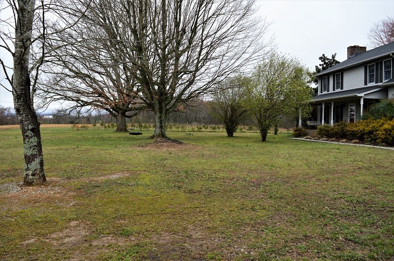505 W Road Morrison, TN 37357 - Photo 5 of 44 a view of a field with a tree