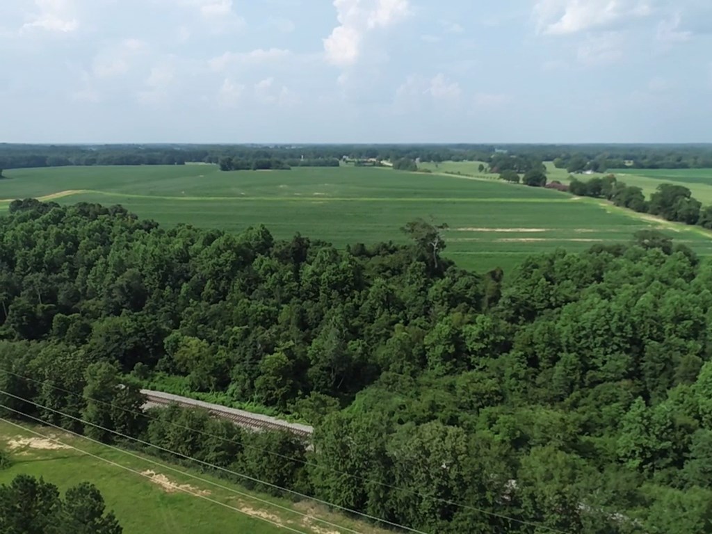 132.3-ac Green Road Dothan, AL 36303 - Photo 32 of 63