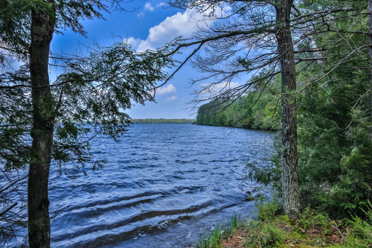 On Squirrel Lake Road, Unit LOT #1 Minocqua, WI 54548 - Photo 8 of 15 Gallery Image 8