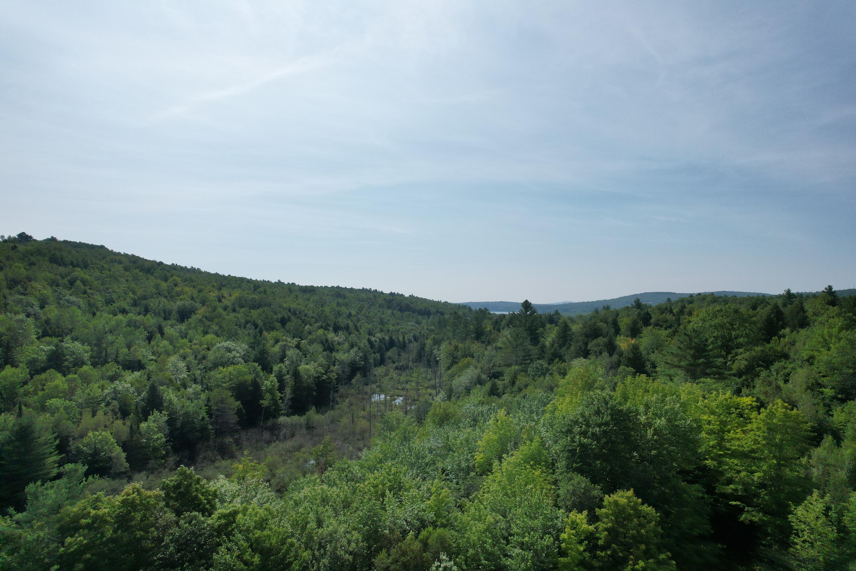 Lots B&c Hanslip Road Wilton, ME 04294 - Photo 4 of 15 4