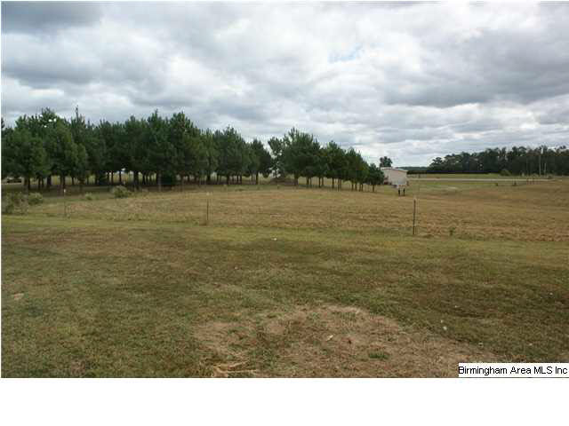 155 County Road 974 Logan, AL 35098 - Photo 18 of 18