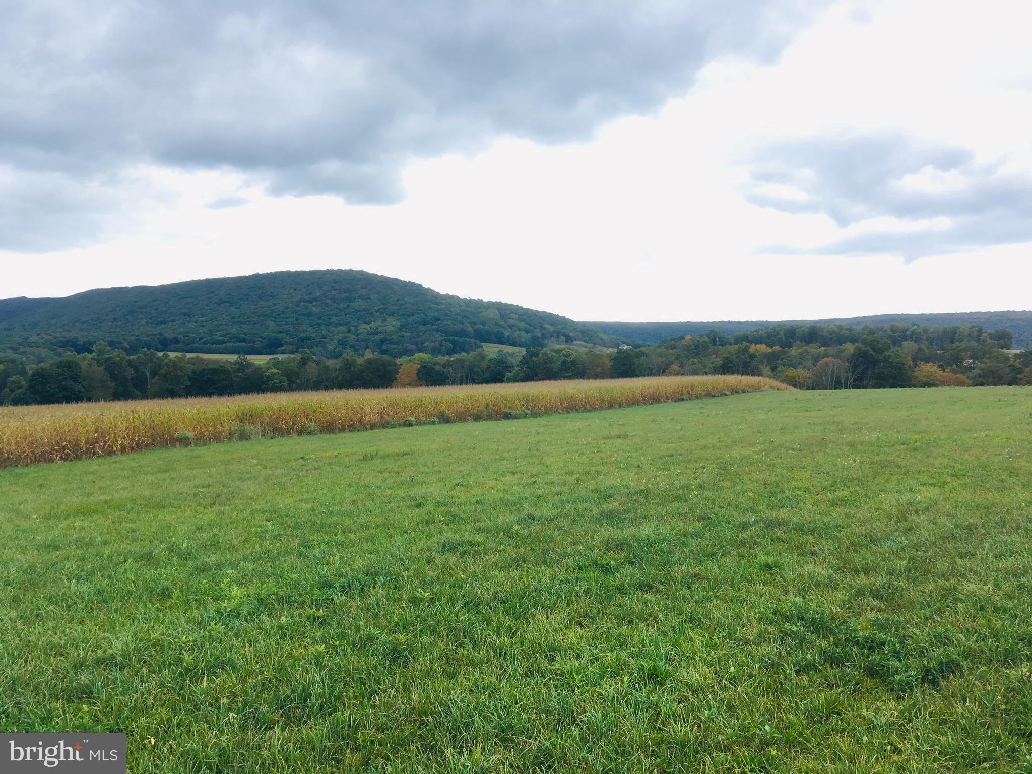 216 Deep Creek Road Ashland, PA 17921 - Photo 2 of 18 From the street looking at the lot