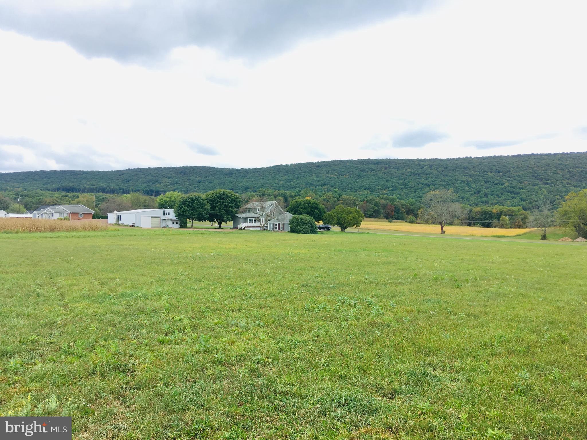 216 Deep Creek Road Ashland, PA 17921 - Photo 11 of 18 From middle of lot looking back to the street