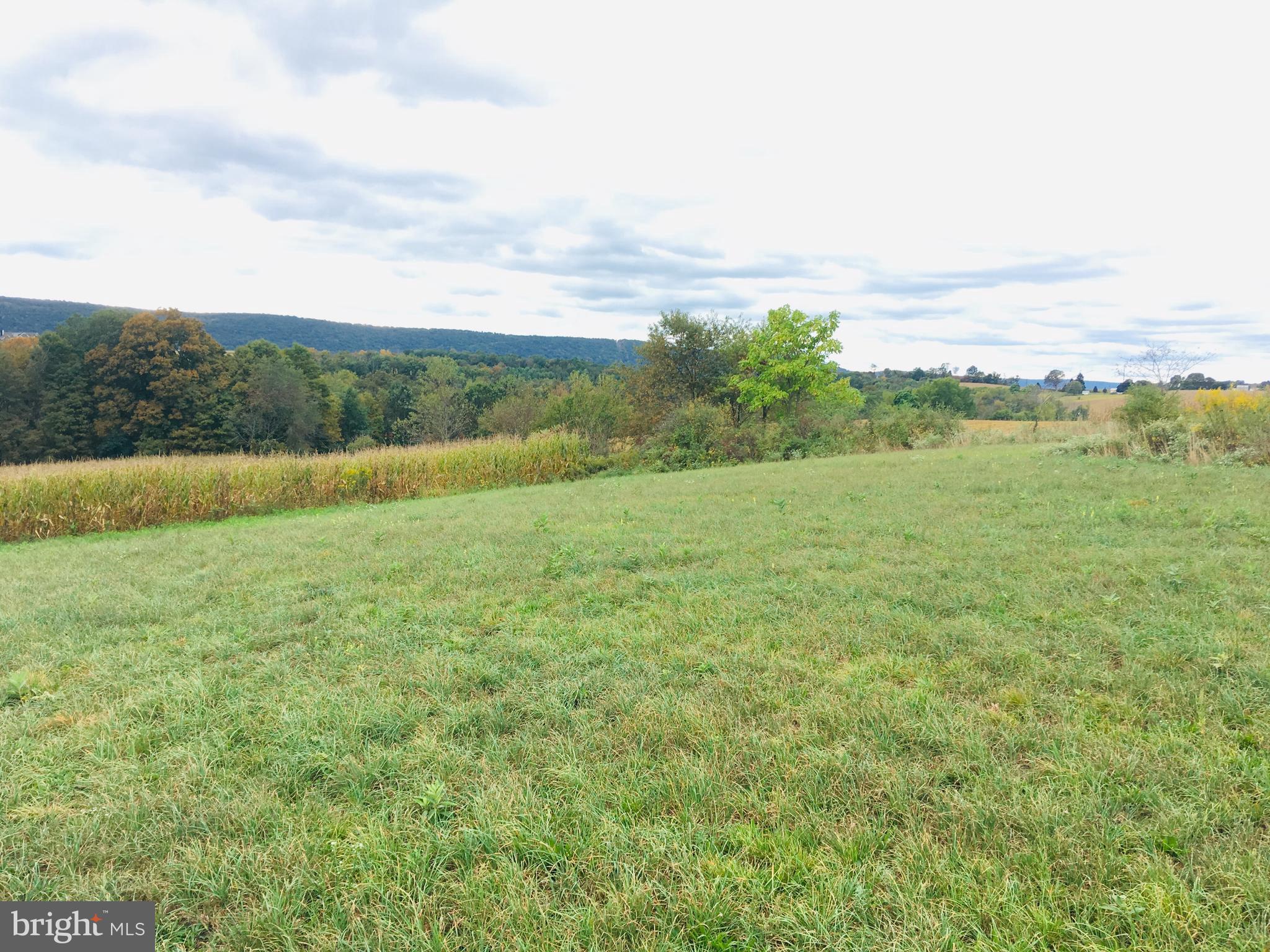 216 Deep Creek Road Ashland, PA 17921 - Photo 13 of 18 Perfect spot for your new home!