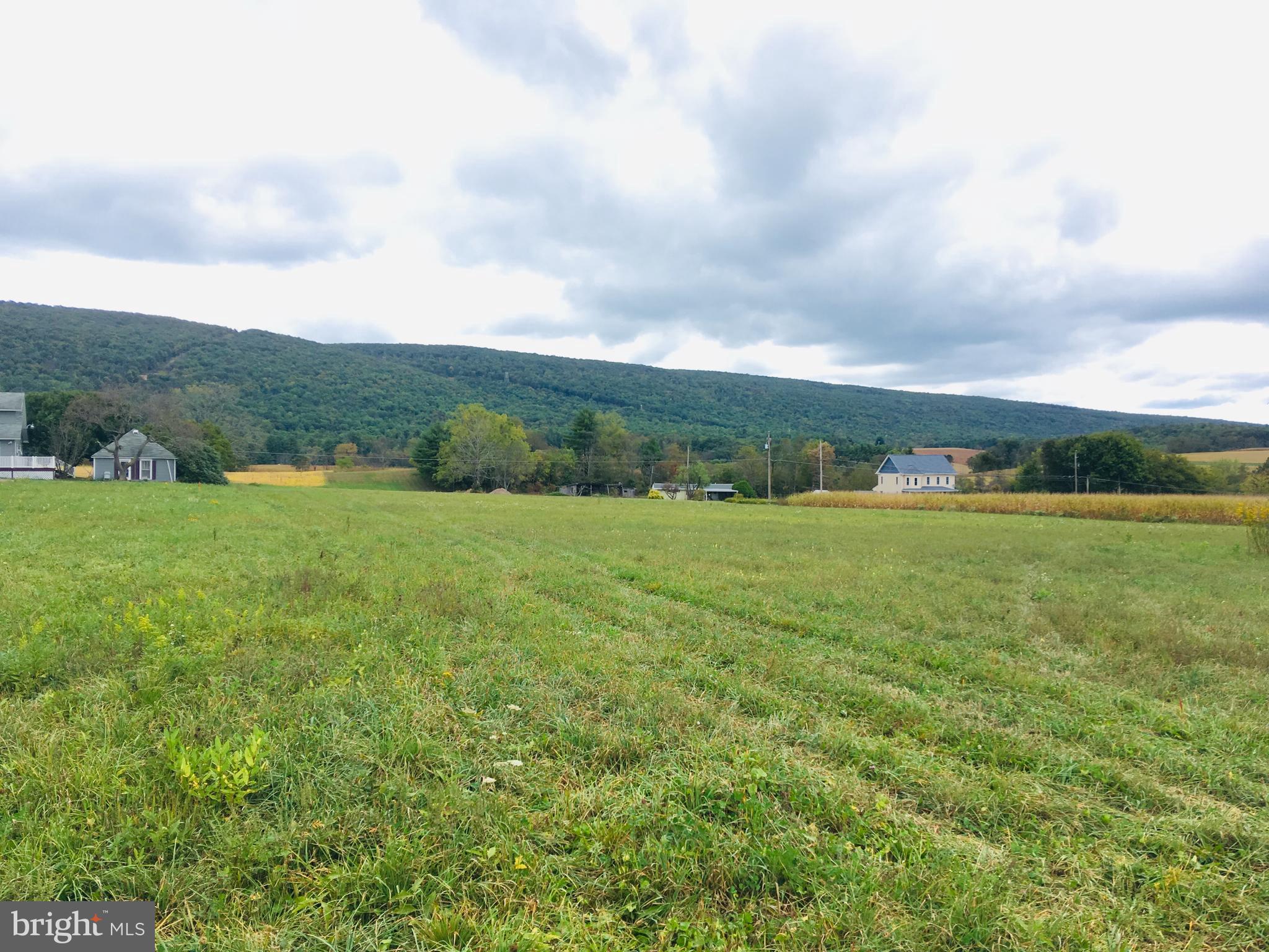 216 Deep Creek Road Ashland, PA 17921 - Photo 14 of 18 From middle of lot looking back to the street
