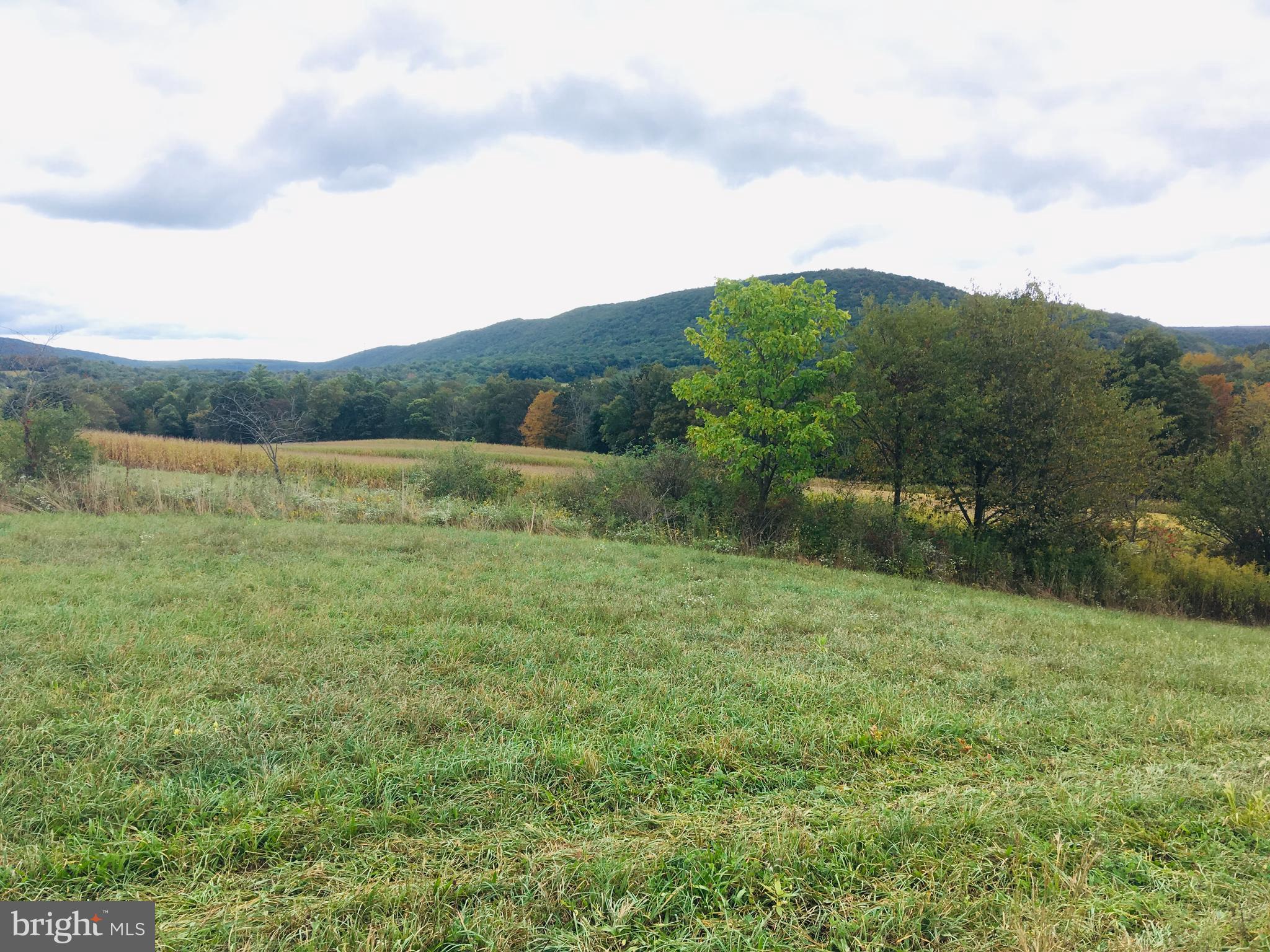 216 Deep Creek Road Ashland, PA 17921 - Photo 16 of 18 Perfect spot for your new home!