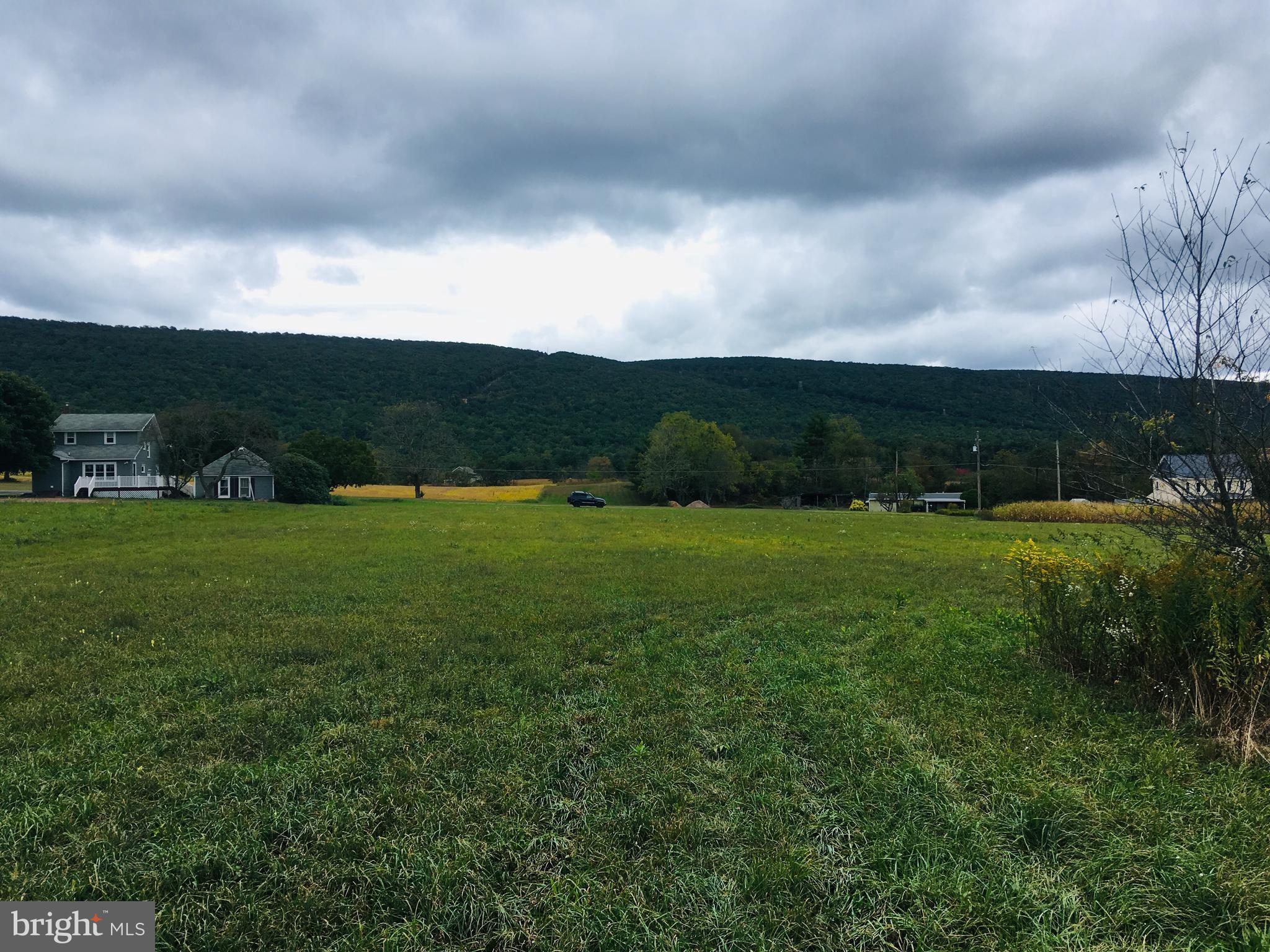 216 Deep Creek Road Ashland, PA 17921 - Photo 17 of 18 From middle of lot looking back to the street