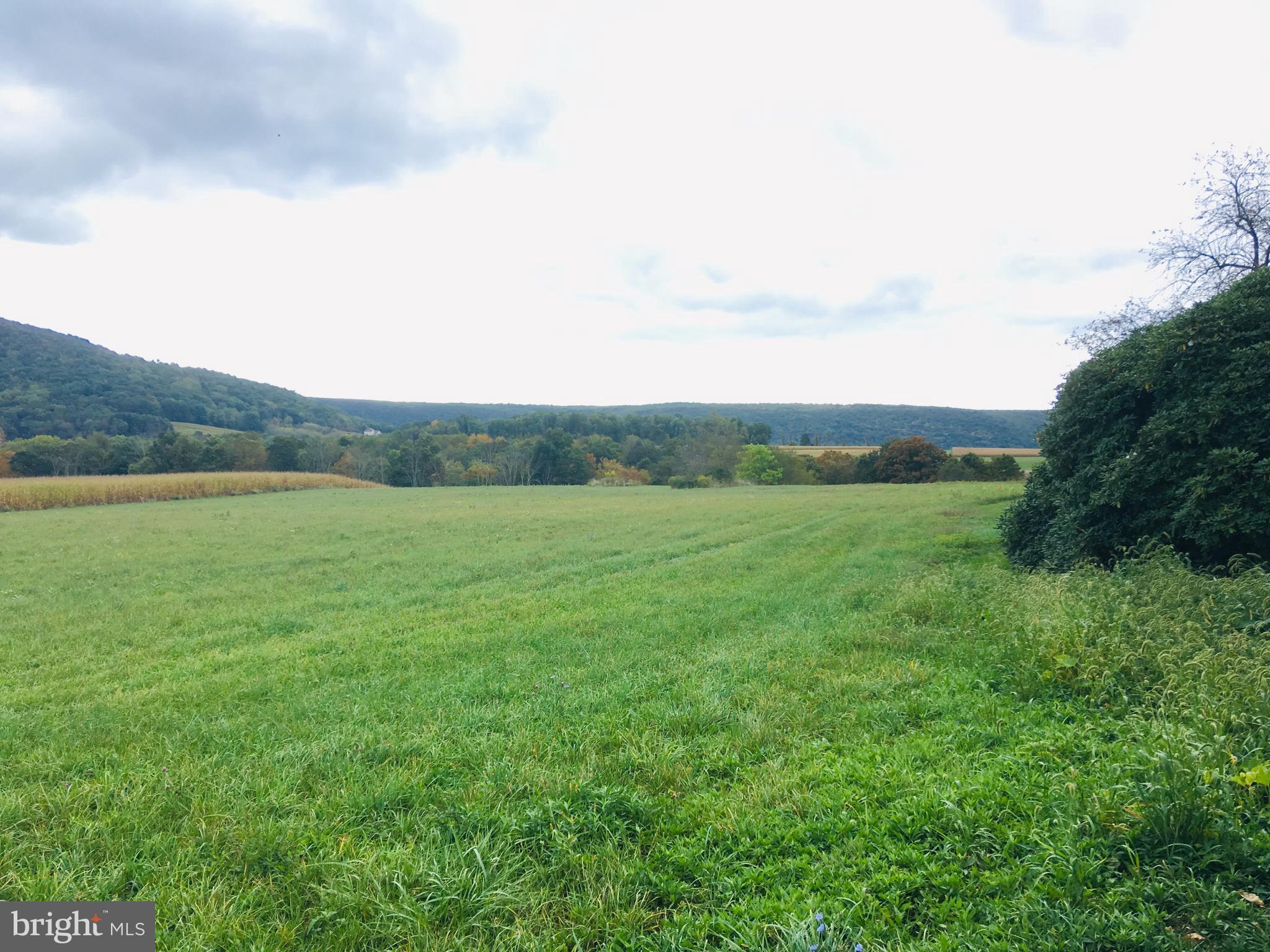 216 Deep Creek Road Ashland, PA 17921 - Photo 3 of 18 From the street looking at the lot