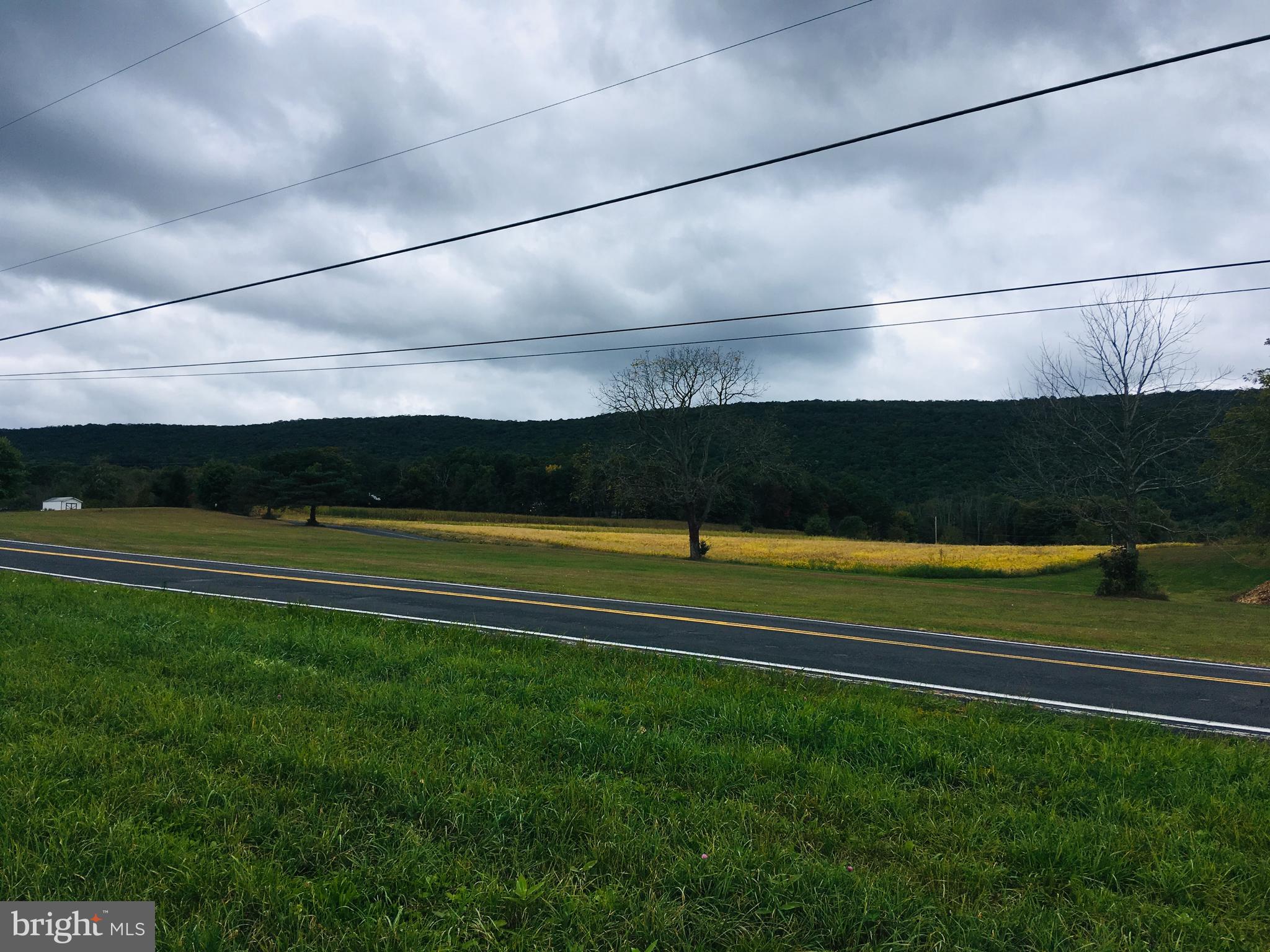 216 Deep Creek Road Ashland, PA 17921 - Photo 4 of 18 Looking across the street