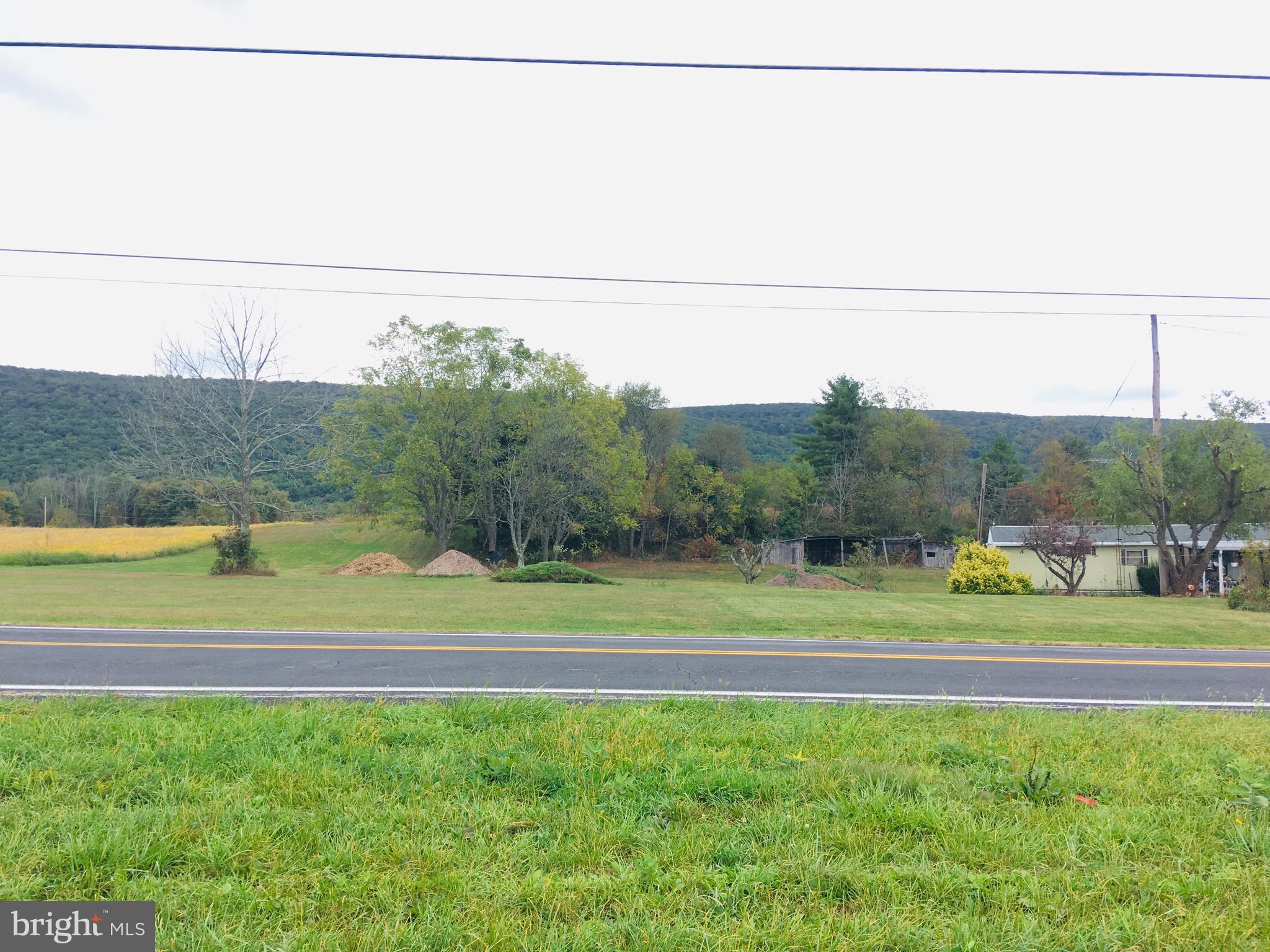 216 Deep Creek Road Ashland, PA 17921 - Photo 5 of 18 Looking across the street