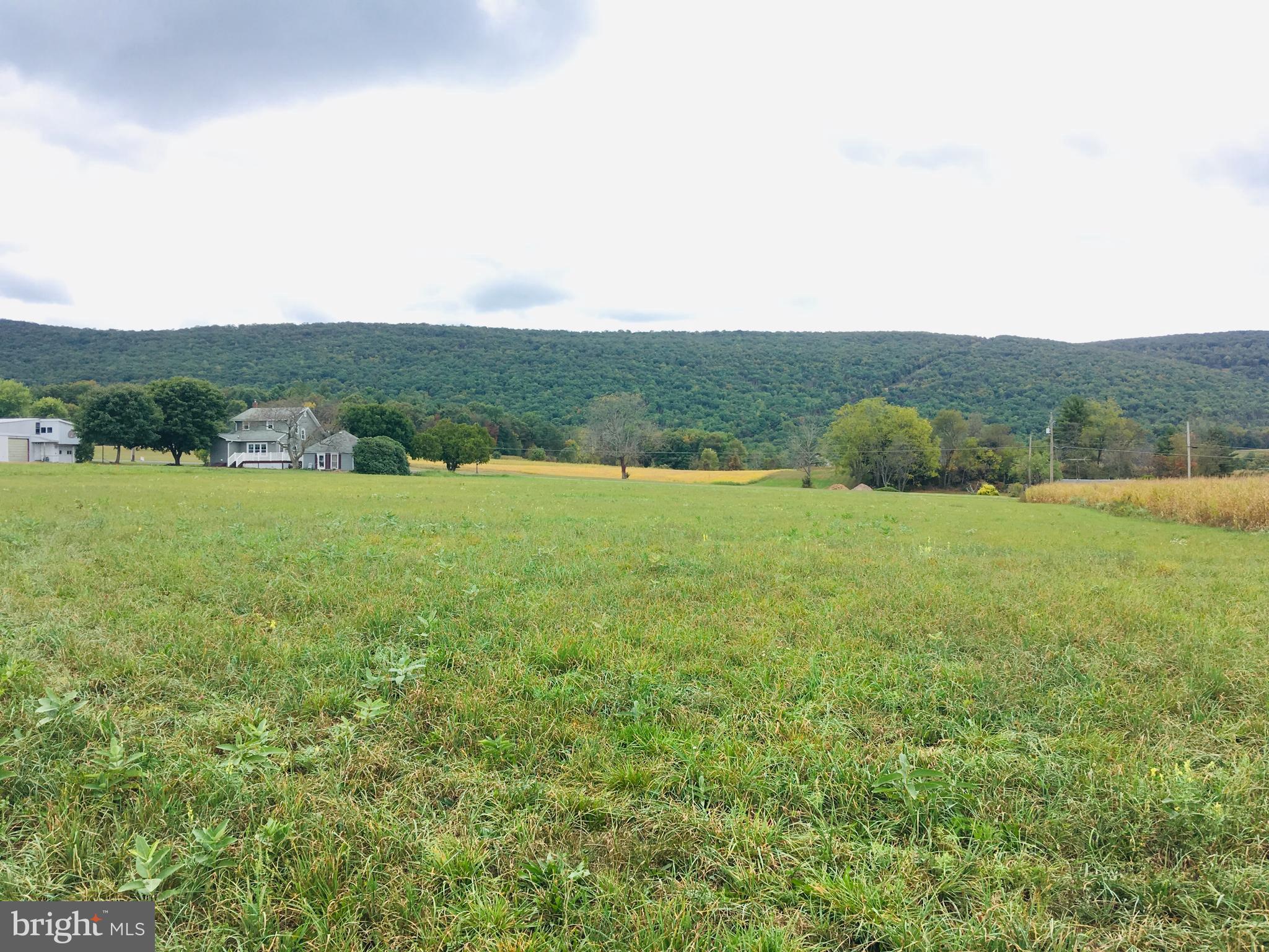 216 Deep Creek Road Ashland, PA 17921 - Photo 10 of 18 From middle of lot looking back to the street