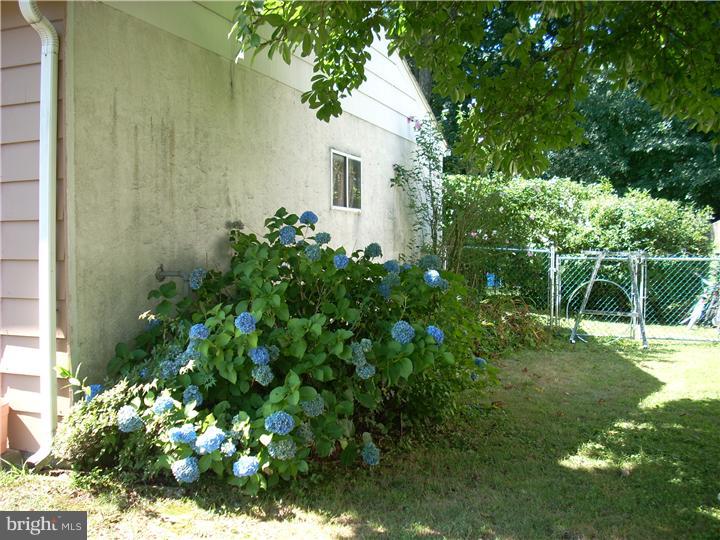 1484 Foster Road Warminster, PA 18974 - Photo 4 of 25 Side Yard