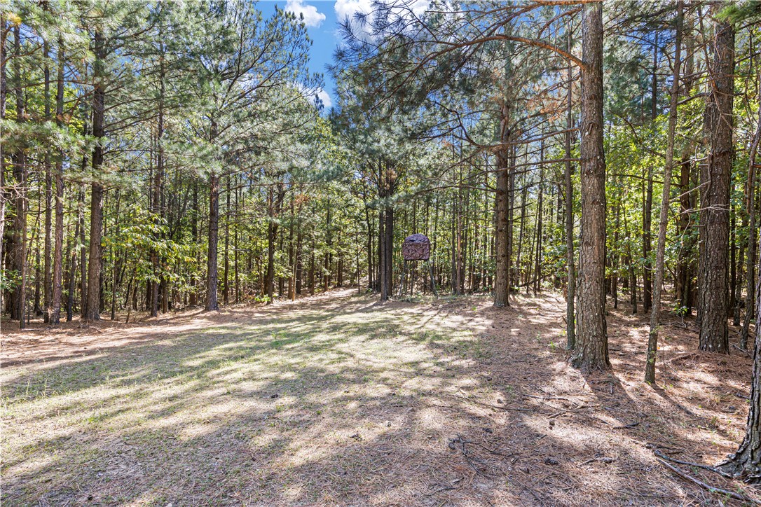 4200 County Road Clarksville, AR 72830 - Photo 21 of 48 Gallery Image 21