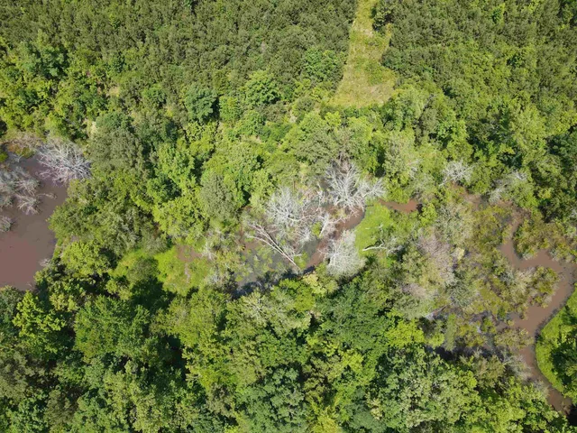 a view of a lake with a house