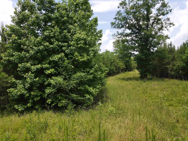 a view of a lake from a yard