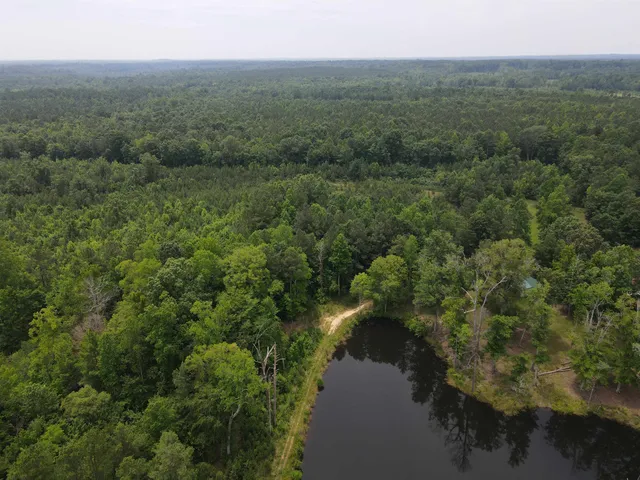a view of a city with lush green forest