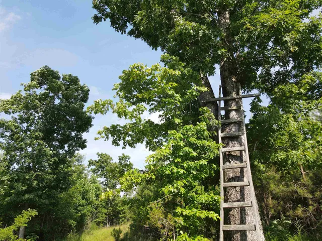 $829,000 | 472 Eaton Ferry Road, Littleton, NC 27850