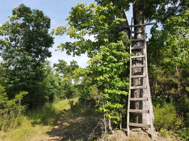 $829,000 | 472 Eaton Ferry Road, Littleton, NC 27850