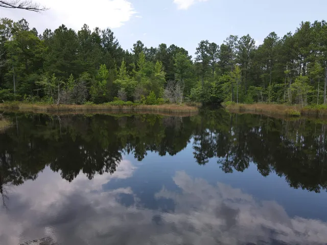 $829,000 | 472 Eaton Ferry Road, Littleton, NC 27850