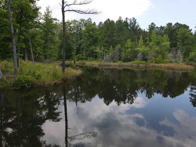 $829,000 | 472 Eaton Ferry Road, Littleton, NC 27850