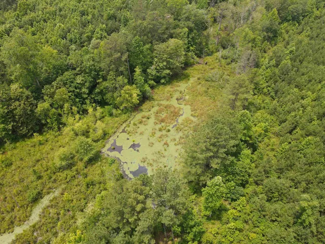 $829,000 | 472 Eaton Ferry Road, Littleton, NC 27850