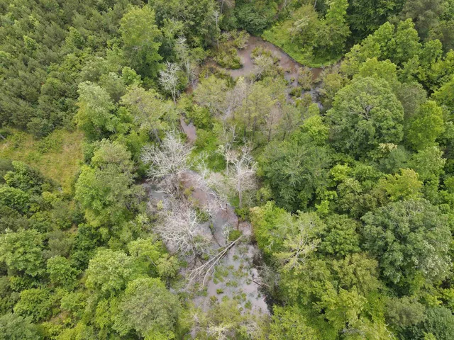 $829,000 | 472 Eaton Ferry Road, Littleton, NC 27850