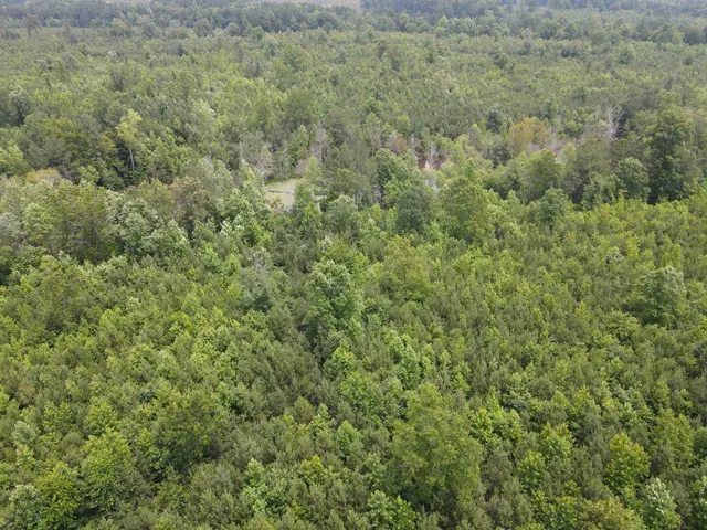 $829,000 | 472 Eaton Ferry Road, Littleton, NC 27850