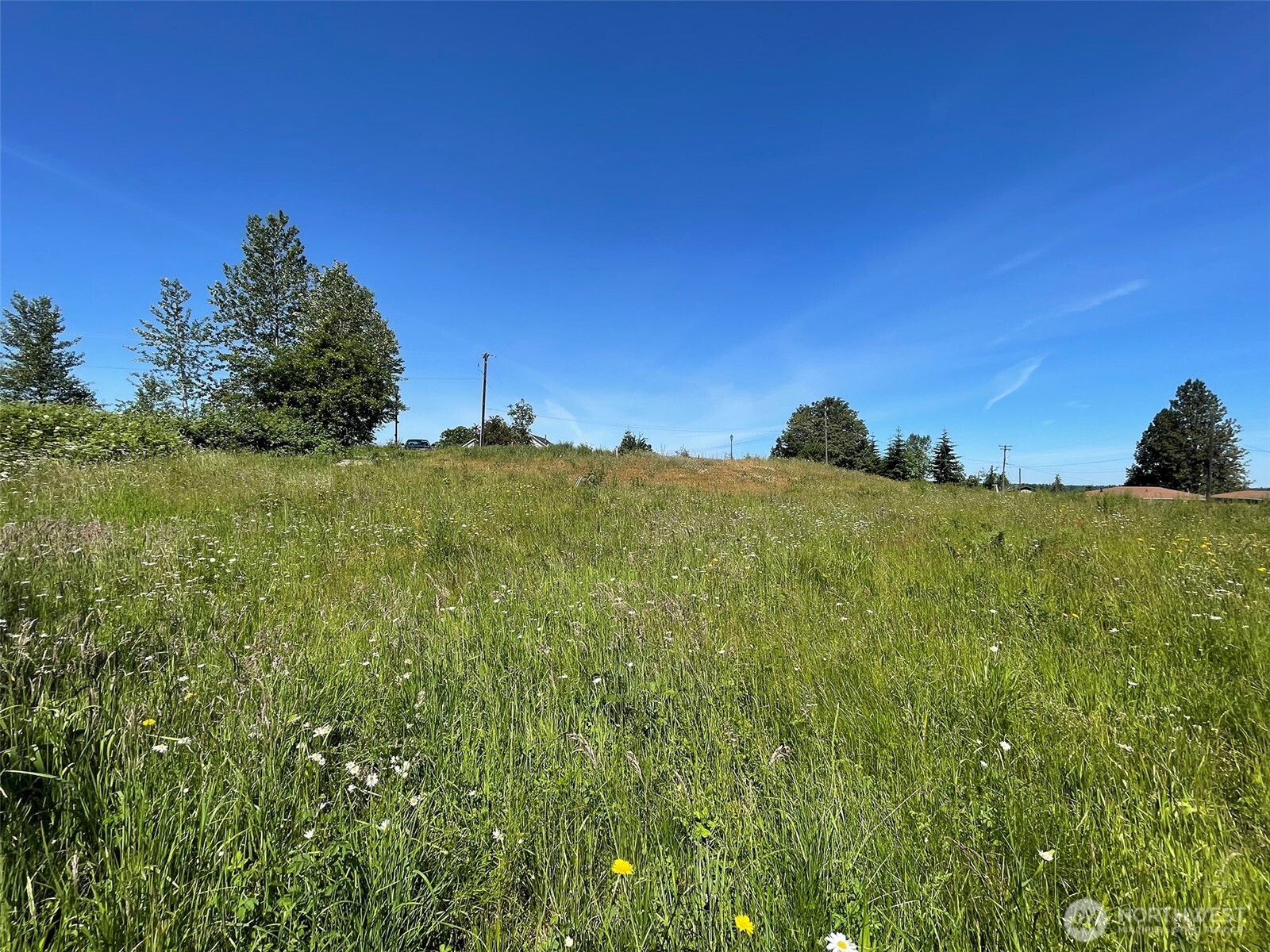 872 South Still Road Sequim, WA 98382 - Photo 10 of 11 Gallery Image 10