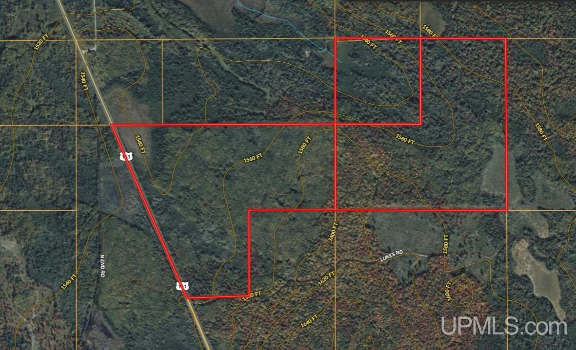 Tbd Us 141 Road, Unit LUKES ROAD Amasa, MI 49903 - Photo 17 of 22