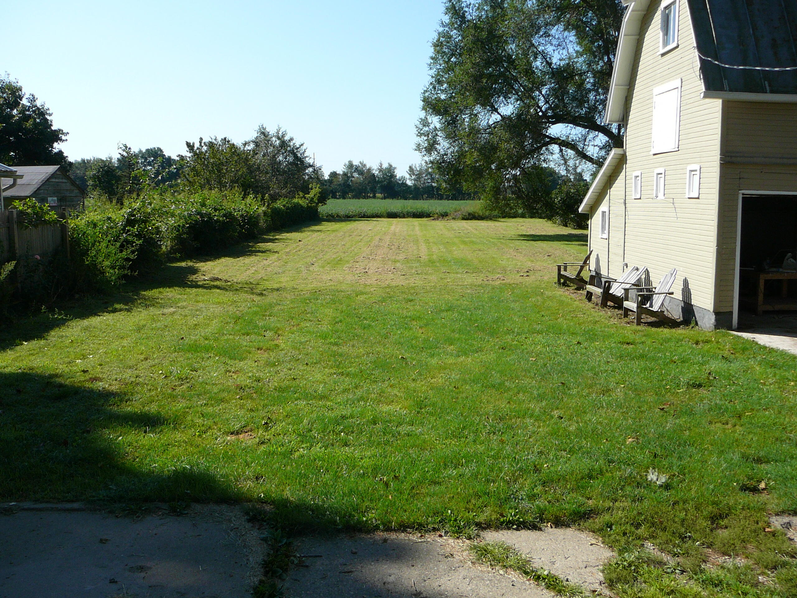 297 Bater Road Coldwater, MI 49036 - Photo 20 of 42 back yard