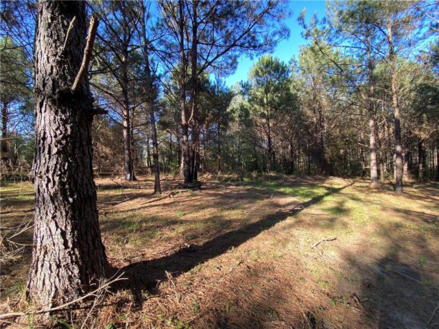 Tbd Ruth Holton Road Amite, LA 70422 - Photo 19 of 34