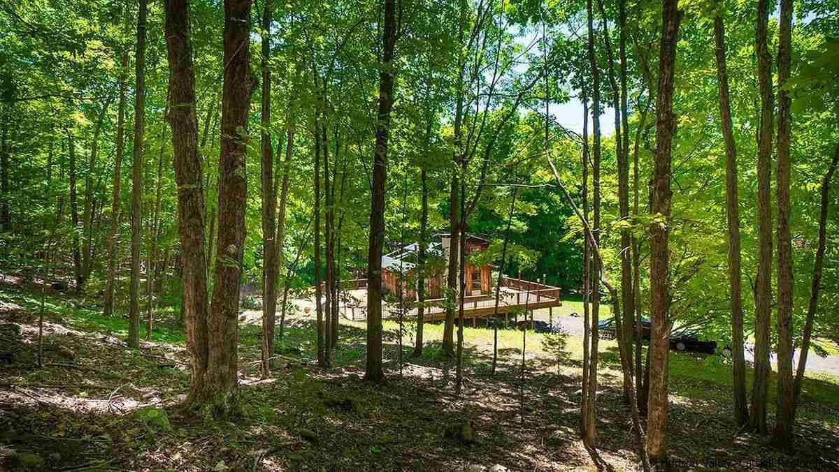 704 Wittenberg Road Mount Tremper, NY 12457 - Photo 11 of 35 Photo 11