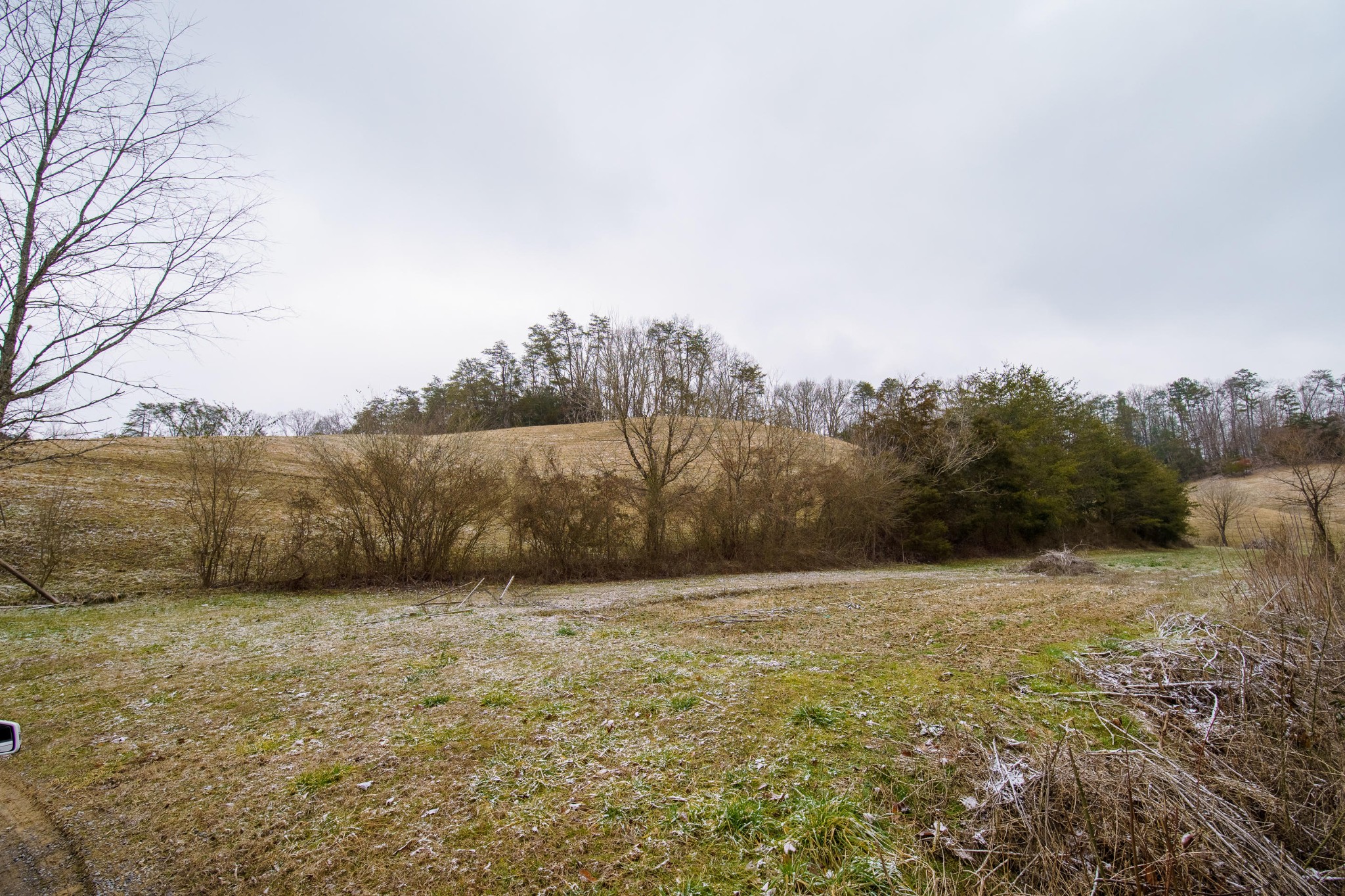 3656 Wiley Noland Road Sevierville, TN 37876 - Photo 1 of 11 Gallery Image 1