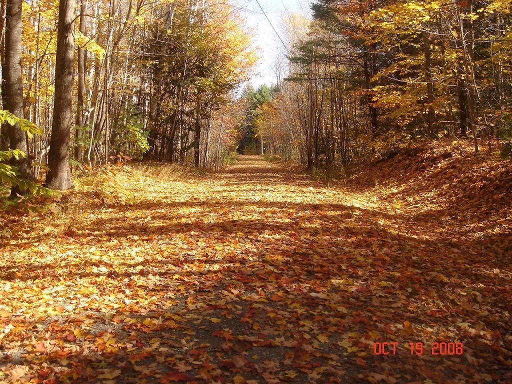1867 Mercer Road Mercer, ME 04957 - Photo 31 of 31 Photo