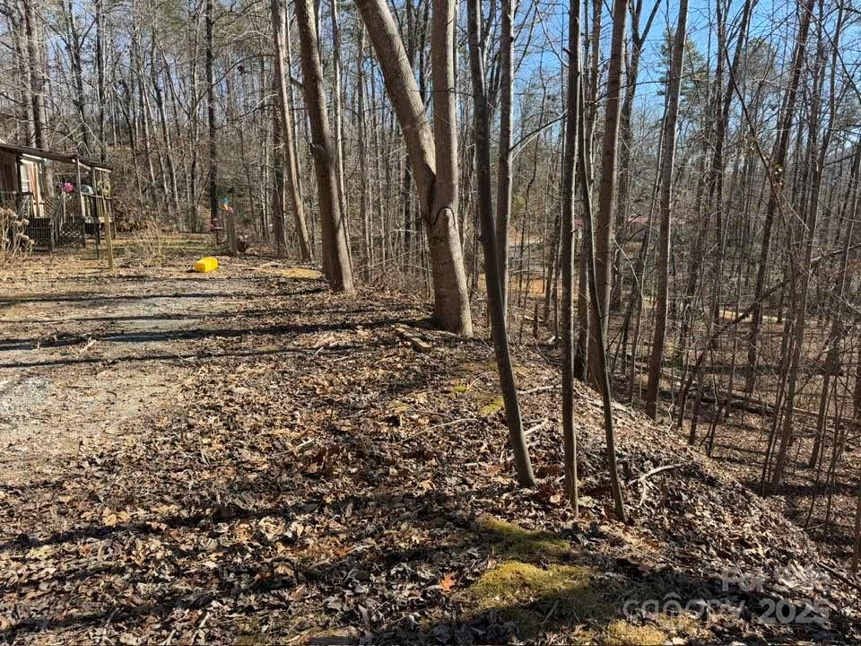 127 Lighthouse Lane Mill Spring, NC 28756 - Photo 3 of 27 Gallery Image 3