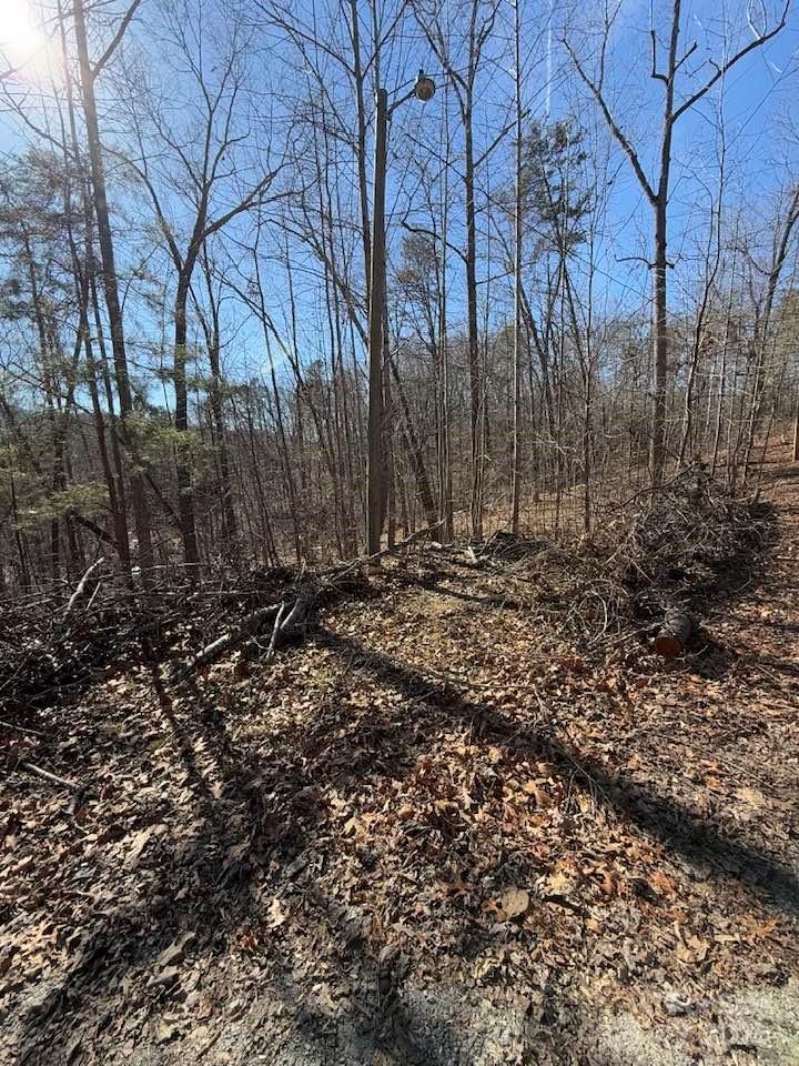 127 Lighthouse Lane Mill Spring, NC 28756 - Photo 6 of 27 Gallery Image 6