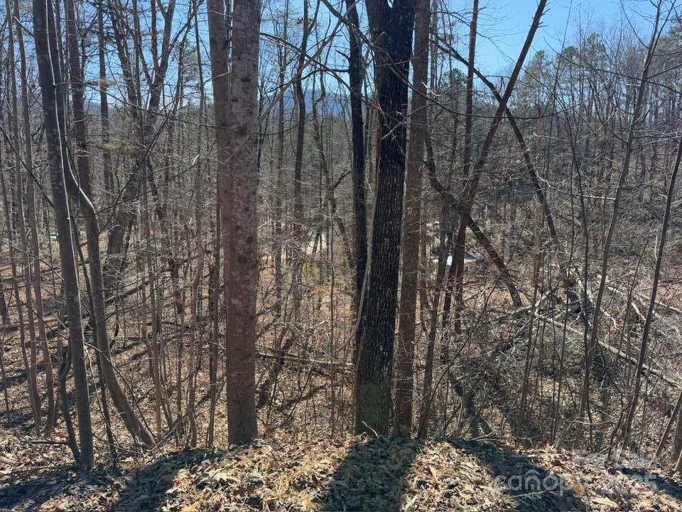 127 Lighthouse Lane Mill Spring, NC 28756 - Photo 8 of 27 Gallery Image 8