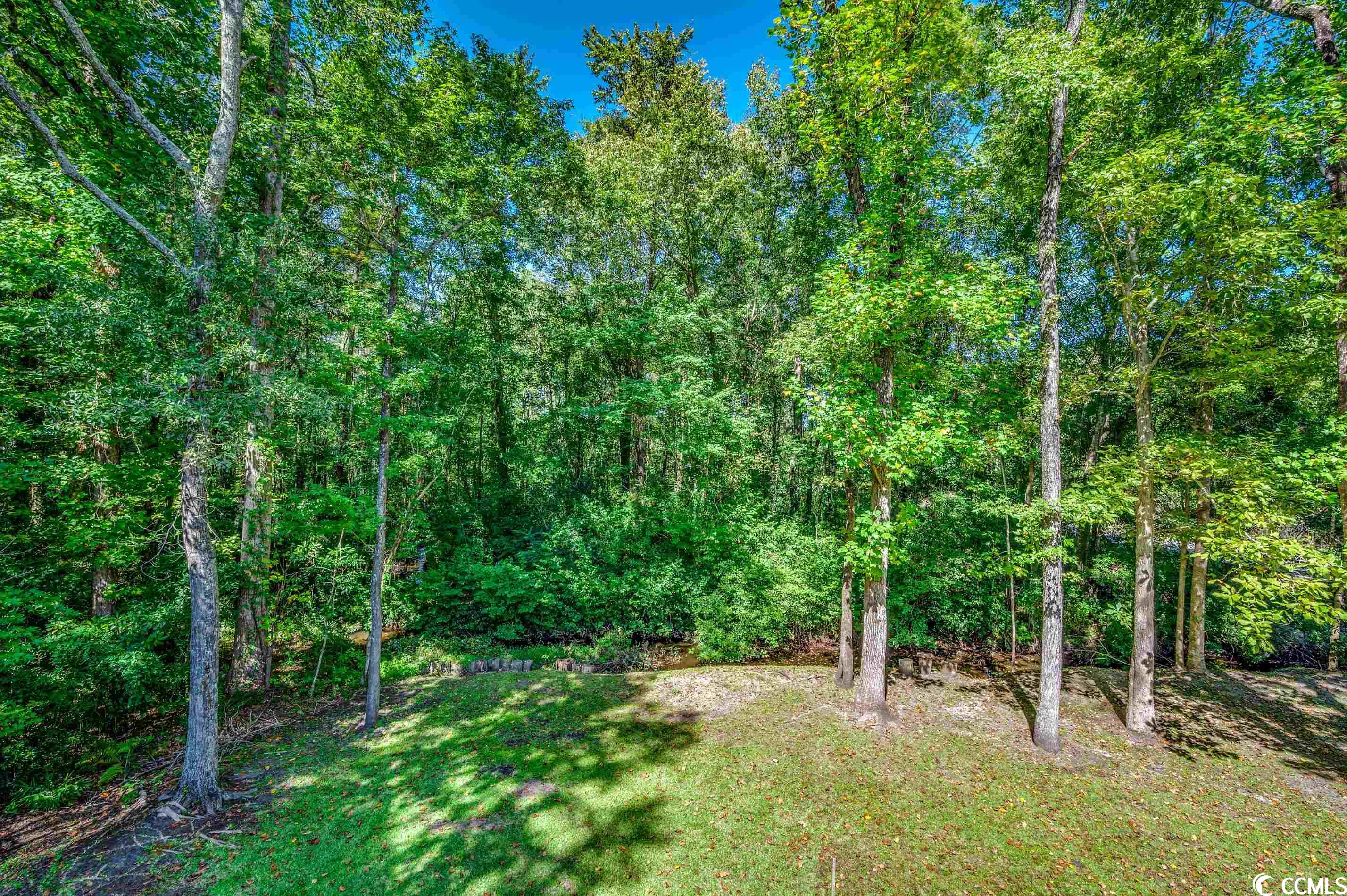 635 French Collins Road Conway, SC 29526 - Photo 32 of 33 Gallery Image 32