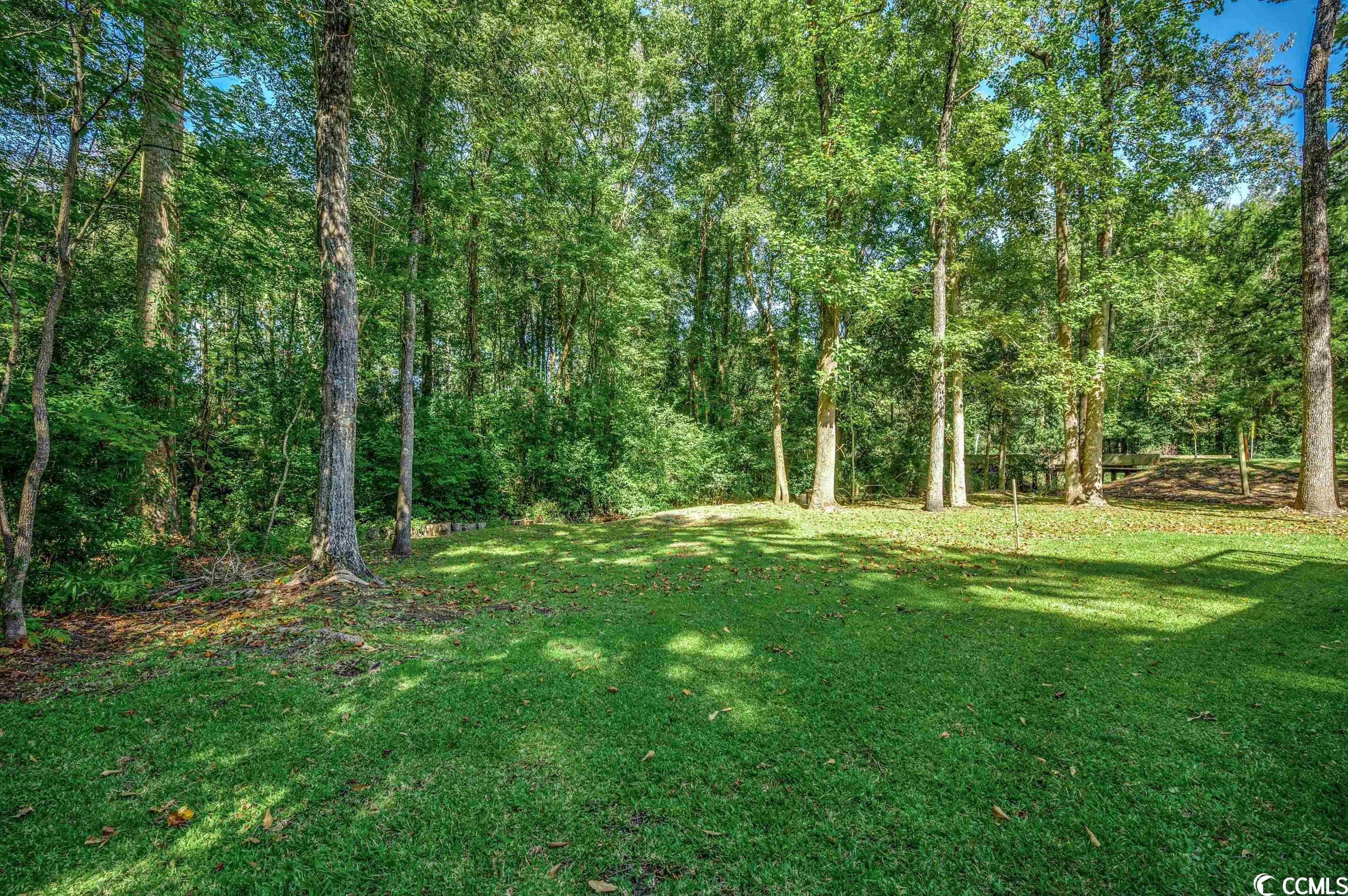 635 French Collins Road Conway, SC 29526 - Photo 33 of 33 Gallery Image 33