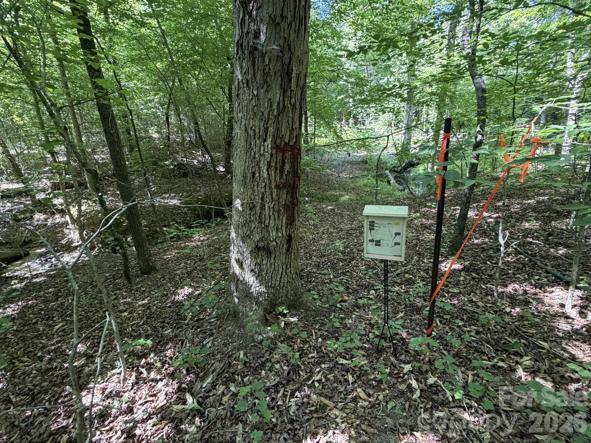 382 Alexis High Shoals Road Dallas, NC 28034 - Photo 43 of 43