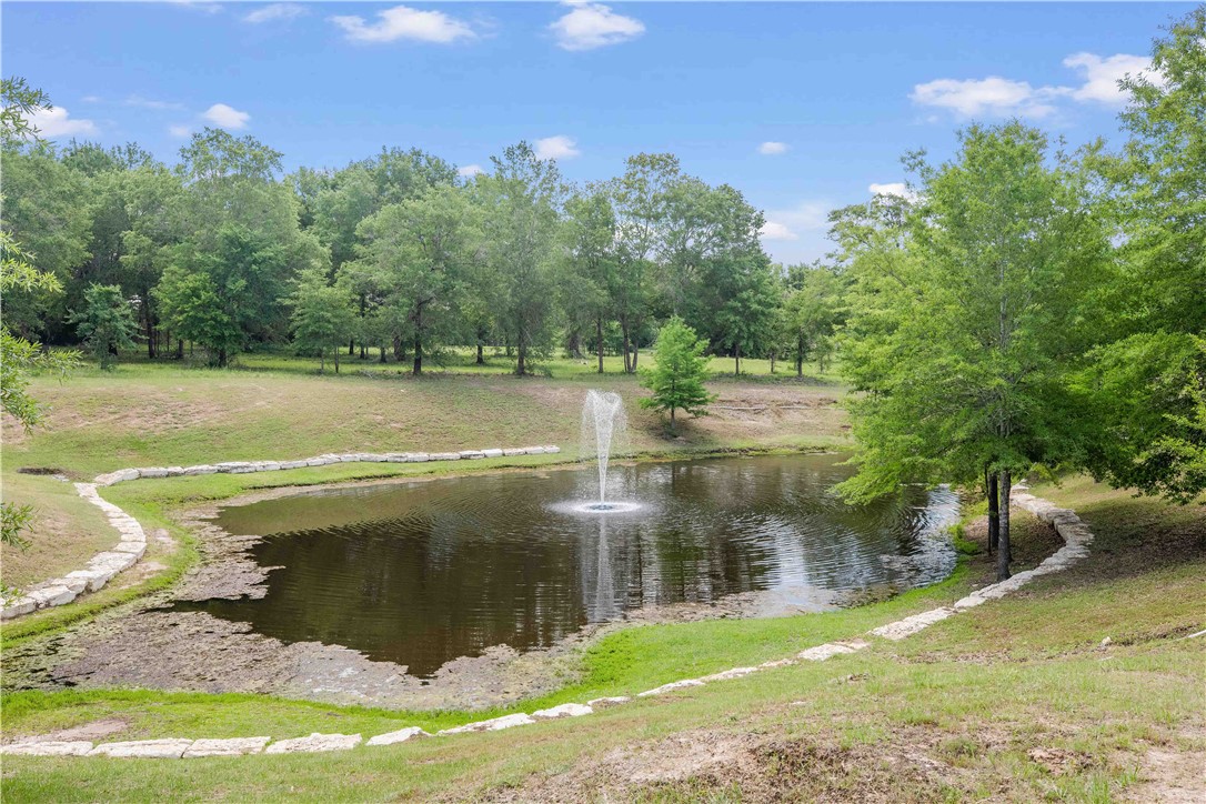 9635 Belgrave Square Iola, TX 77861 - Photo 12 of 14