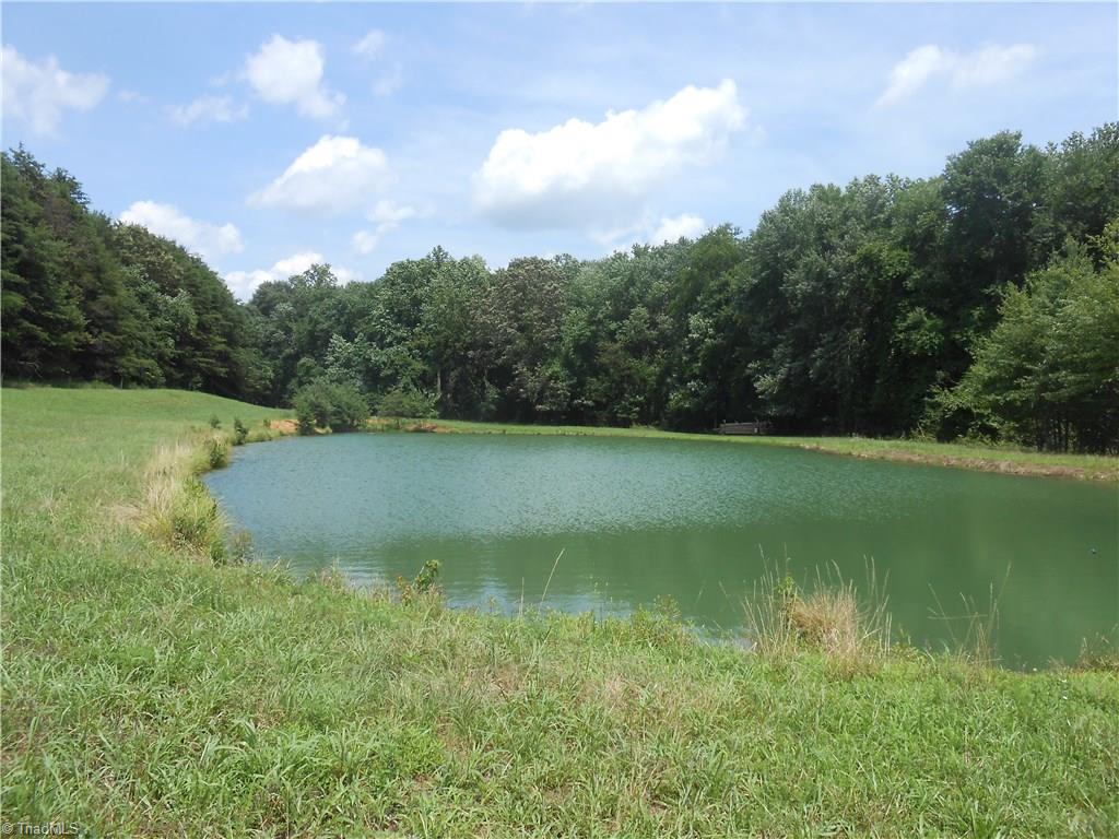 1020 Holly Farm Road Walnut Cove, NC 27052 - Photo 1 of 28 Gallery Image 1