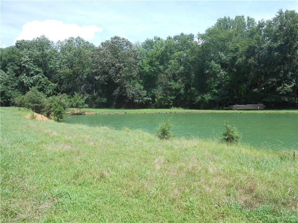 1020 Holly Farm Road Walnut Cove, NC 27052 - Photo 11 of 28 Gallery Image 11