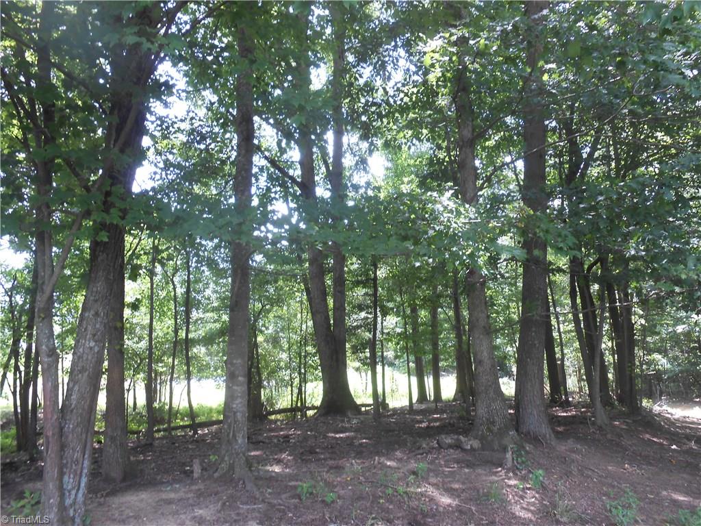 1020 Holly Farm Road Walnut Cove, NC 27052 - Photo 17 of 28 Gallery Image 17