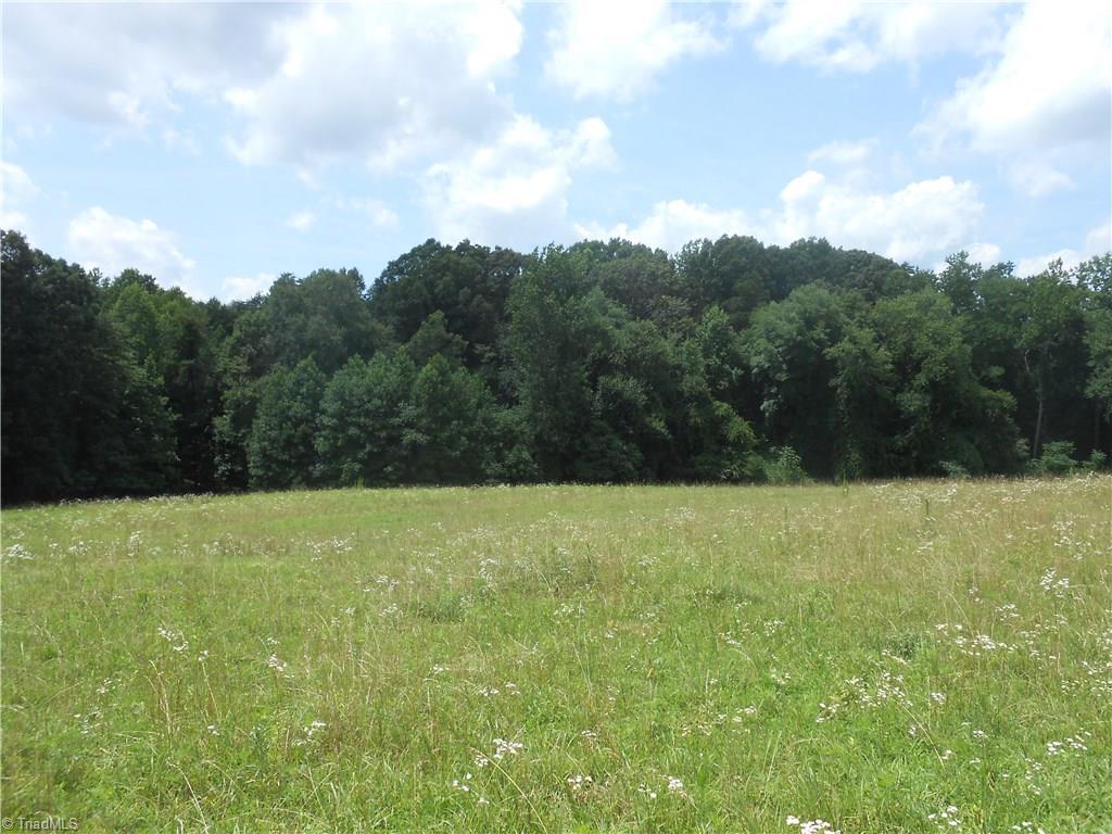 1020 Holly Farm Road Walnut Cove, NC 27052 - Photo 20 of 28 Gallery Image 20