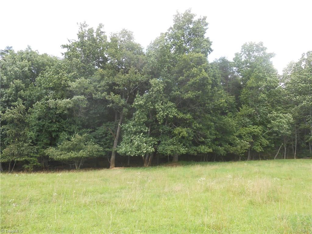 1020 Holly Farm Road Walnut Cove, NC 27052 - Photo 21 of 28 Gallery Image 21