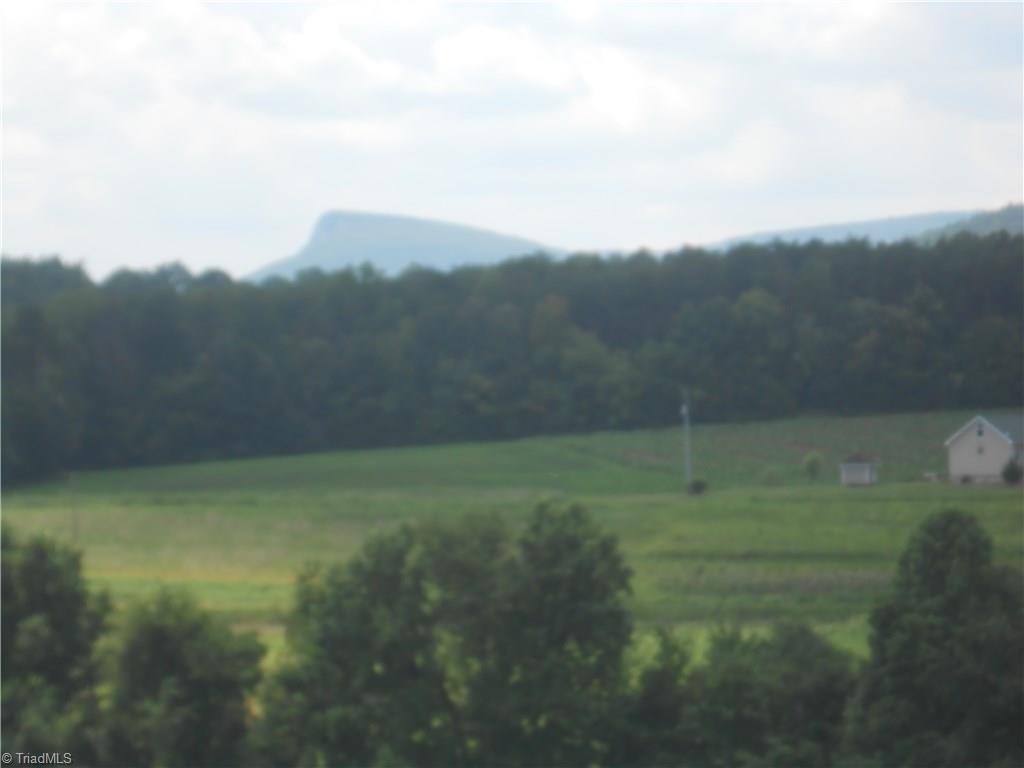 1020 Holly Farm Road Walnut Cove, NC 27052 - Photo 25 of 28 Gallery Image 25
