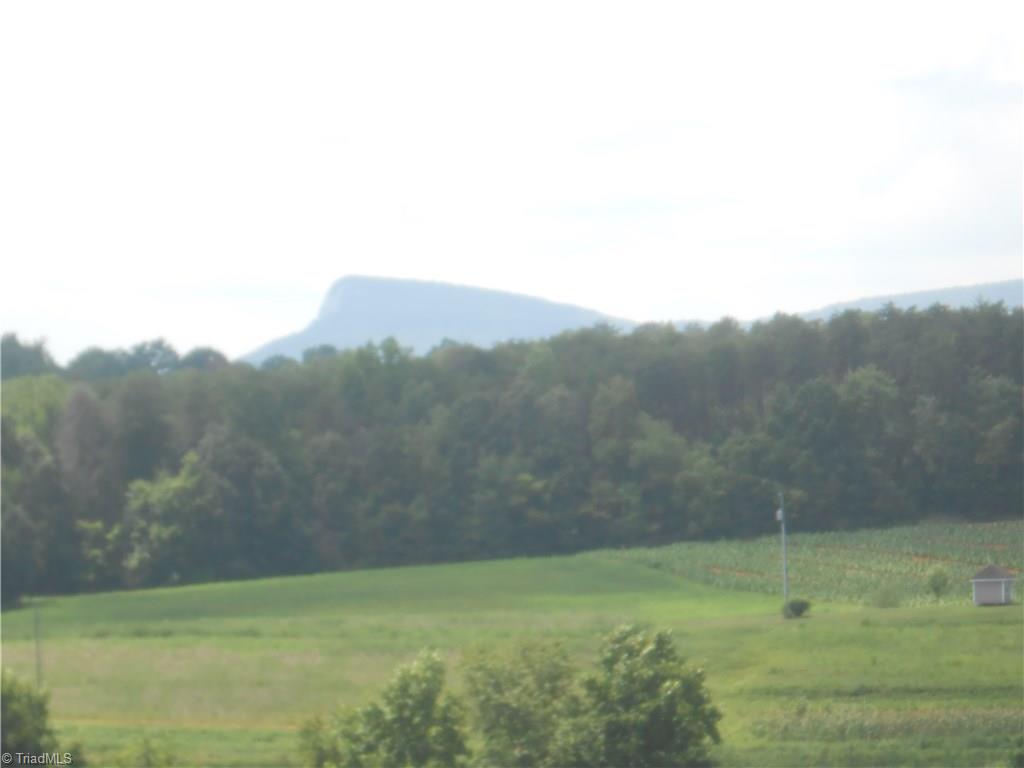 1020 Holly Farm Road Walnut Cove, NC 27052 - Photo 27 of 28 Gallery Image 27