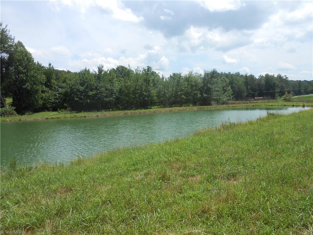 1020 Holly Farm Road Walnut Cove, NC 27052 - Photo 9 of 28 Gallery Image 9